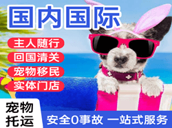 潮汕航空运输国际宠物托运 【国